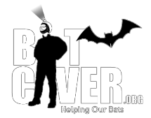 BatCaver.org