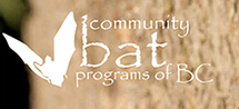 community-bats
